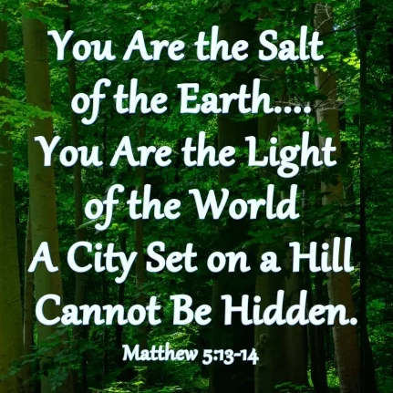 Matthew 5:13–14